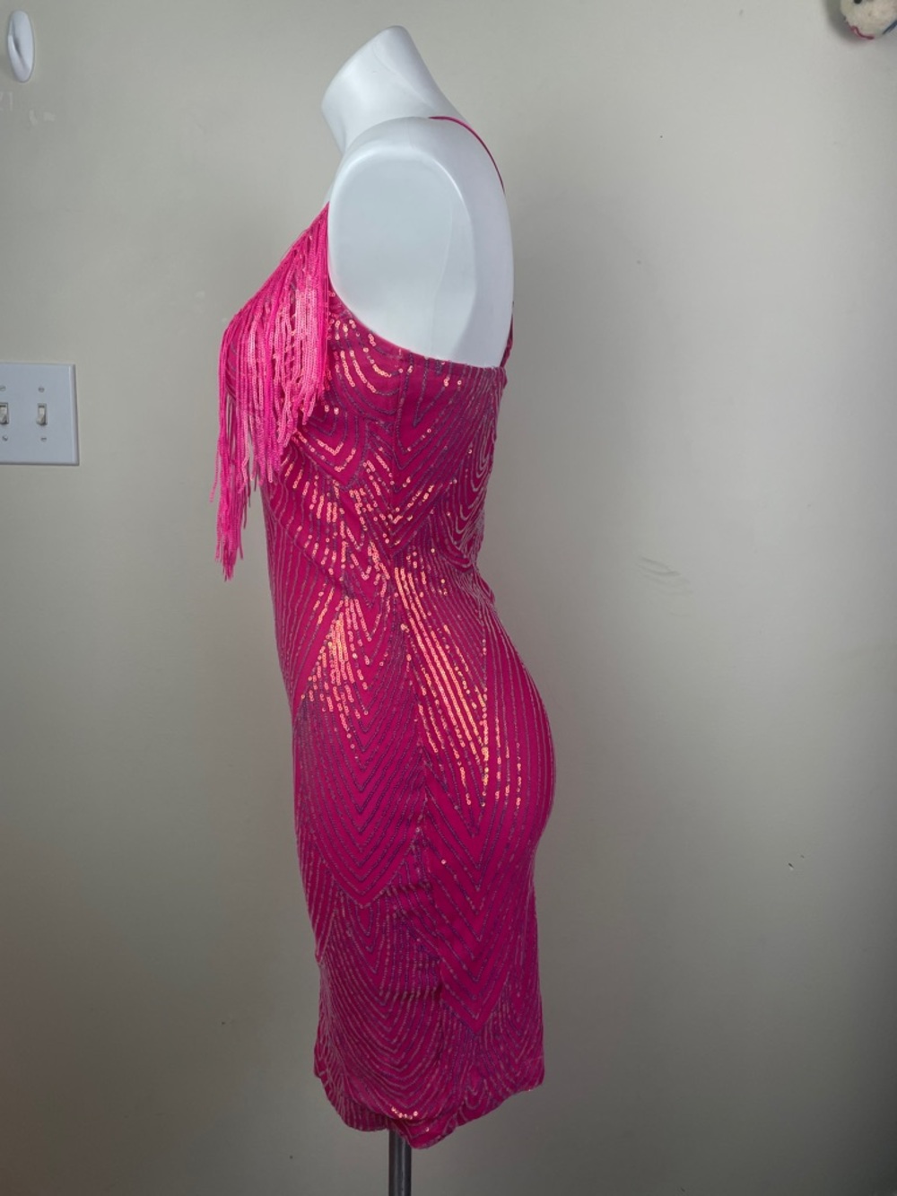 Stretchy Sequin Fringe Party Dress - Picture 11 of 13